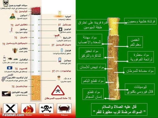 قال رسول الله صلى الله عليه وسلم :
(( لا تزولُ قدَمَا عبد يومَ القيامة ، حتى يُسألَ عن أربع : عن عُمُره فيمَ أفناه ؟ وعن عِلْمِهِ ما عمِل به ؟ وعن ماله من أين اكتسبه وفيم أنفقه ؟ وعن جسمه فيم أبلاه ؟ ))
[ رواه الترمذي وصححه عن أبي برزة الأسلمي]