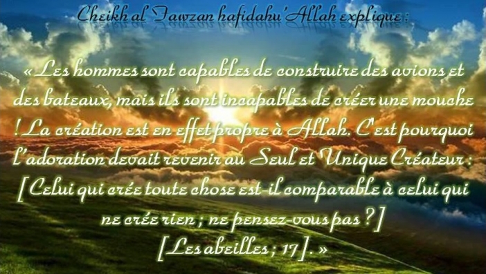 Cheikh al Fawzan hafidahu’Allah explique : 

« Les hommes sont capables de construire des avions et des bateaux, mais ils sont incapables de créer une mouche ! La création est en effet propre à Allah. C'est pourquoi l’adoration devait revenir au Seul et Unique Créateur